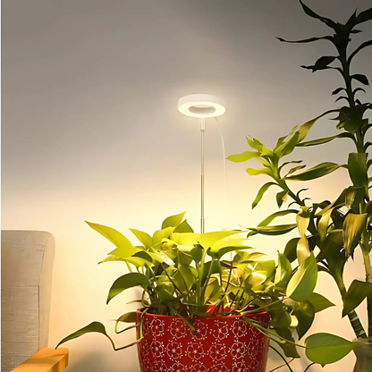 SproutLight™ - Smart Sunlight Solution